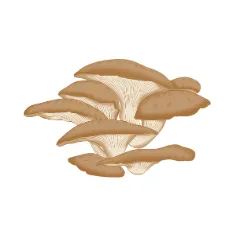 Exfoliating Mushroom & PHA Serum