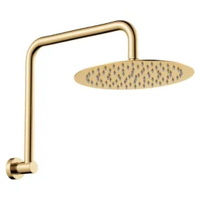 Fienza Kaya Gooseneck Shower Arm Set Urban Brass