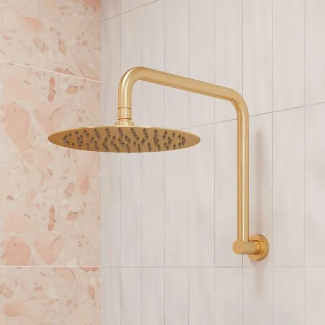 Fienza Kaya Gooseneck Shower Arm Set Urban Brass