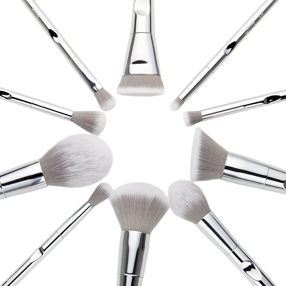Luxury 10 Pcs Makeup Brush Set T261