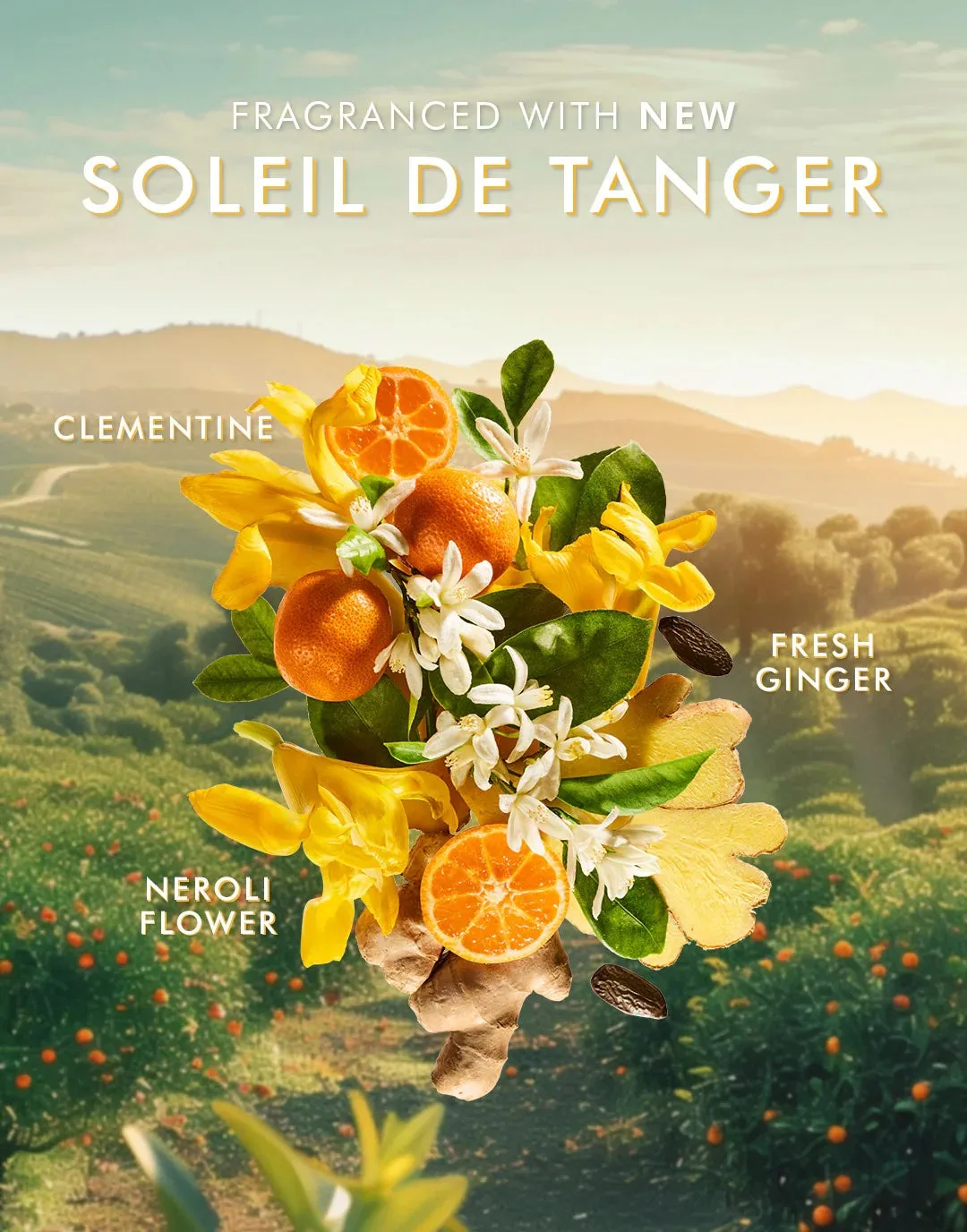 Moroccanoil Hand Cream Soleil De Tanger 100ml