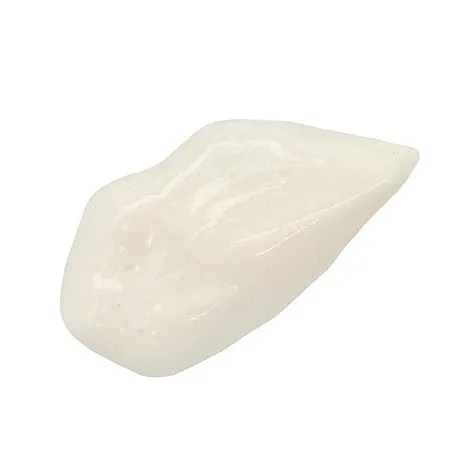 PERFECT CANVAS PRIMER