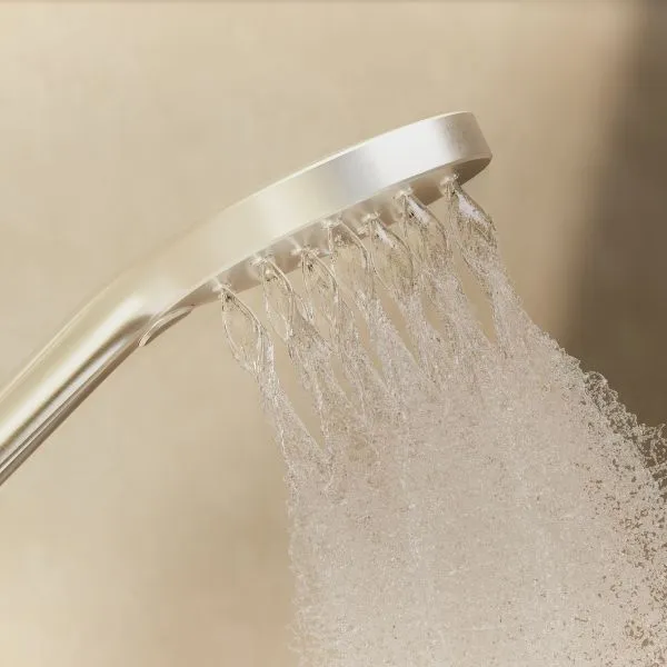 Phoenix Tapware Ormond Rail Shower Chrome