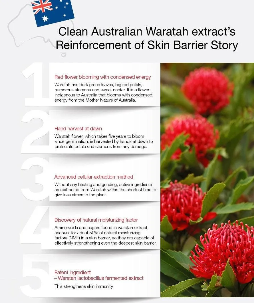 the SAEM Urban Eco Waratah Essence Lotion 130ml